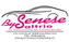 Logo Autosalone Senese Saltrio Srl